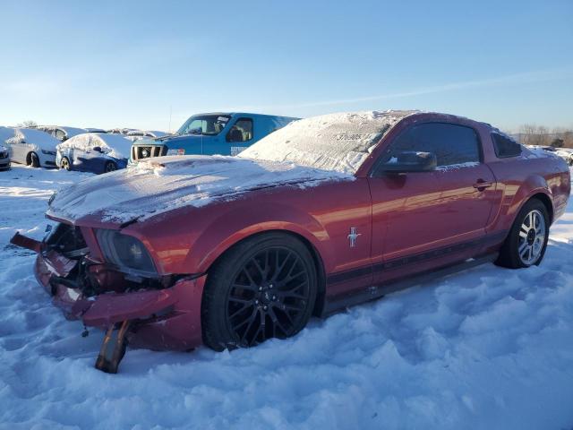 Obraz 2007 FORD MUSTANG  2007