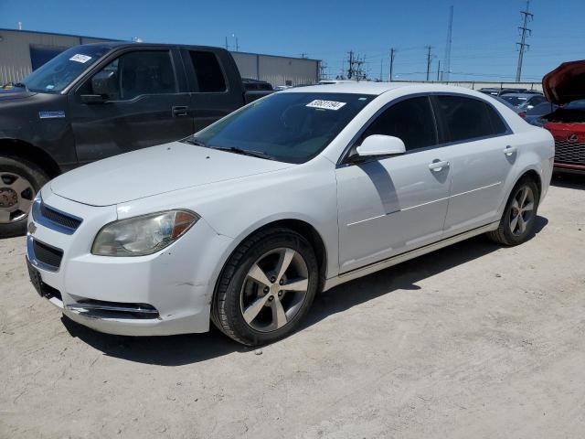 2011 CHEVROLET MALIBU 1LT 2011 image