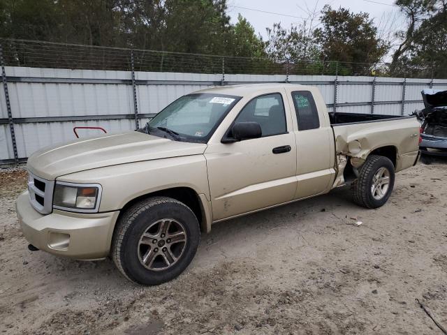 Obraz 2011 DODGE DAKOTA SLT 2011