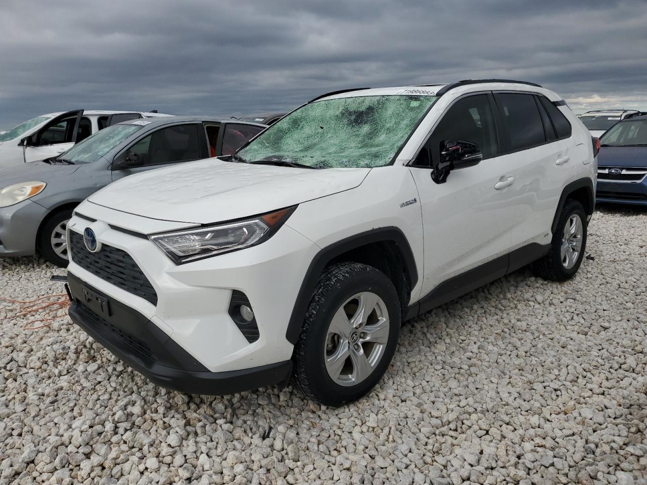 2021 TOYOTA RAV4 XLE 2021 image