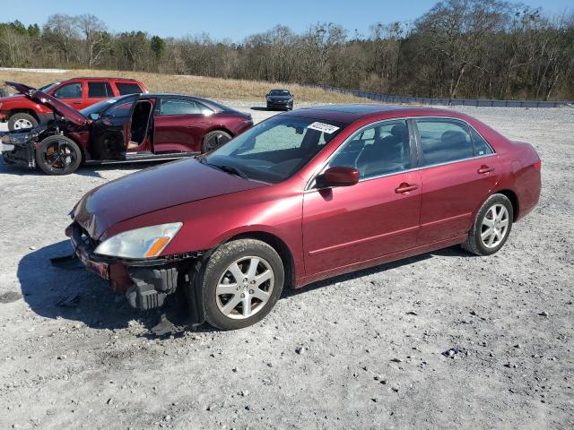 2005 HONDA ACCORD EX 2005 image