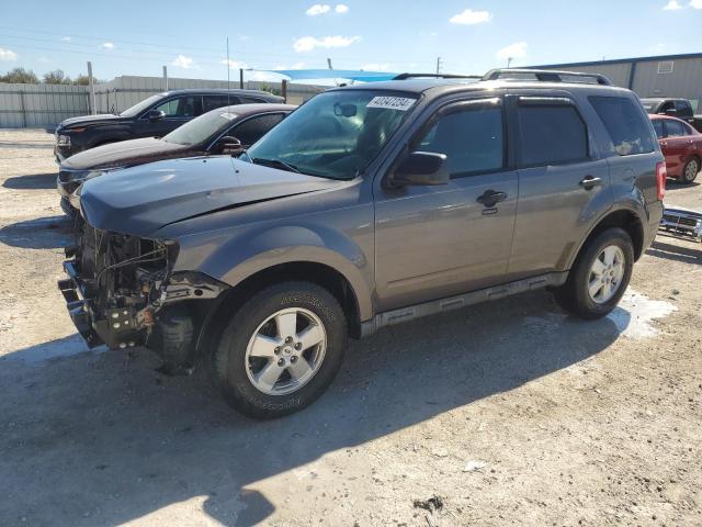 Obraz 2011 FORD ESCAPE XLT 2011