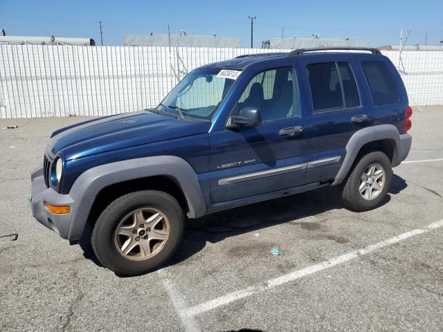 2002 JEEP LIBERTY SPORT 2002 image