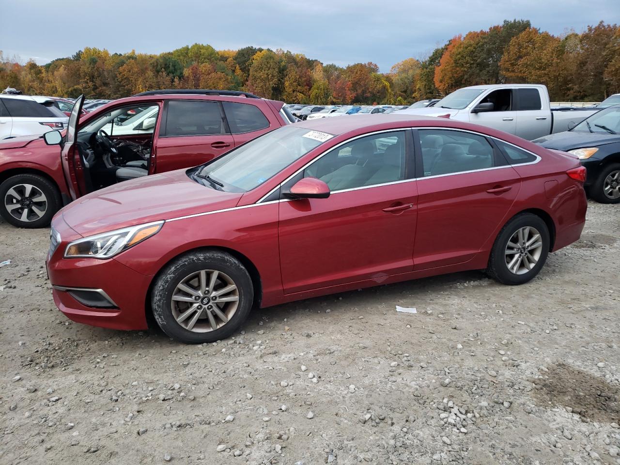 Obraz 2016 HYUNDAI SONATA SE 2016