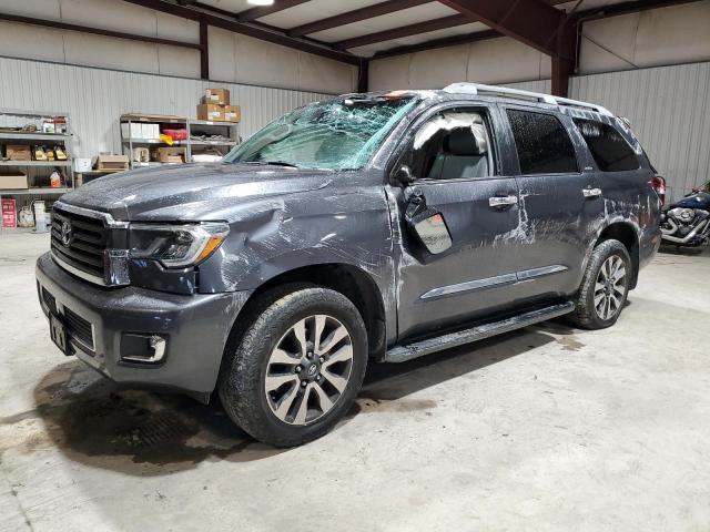 Obraz 1 z 2019 TOYOTA SEQUOIA LIMITED 2019 z VIN 5TDJY5G15KS166491