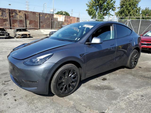 2023 TESLA MODEL Y  2023 image