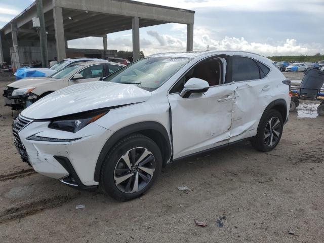 Obraz 2021 LEXUS NX 300H BASE 2021