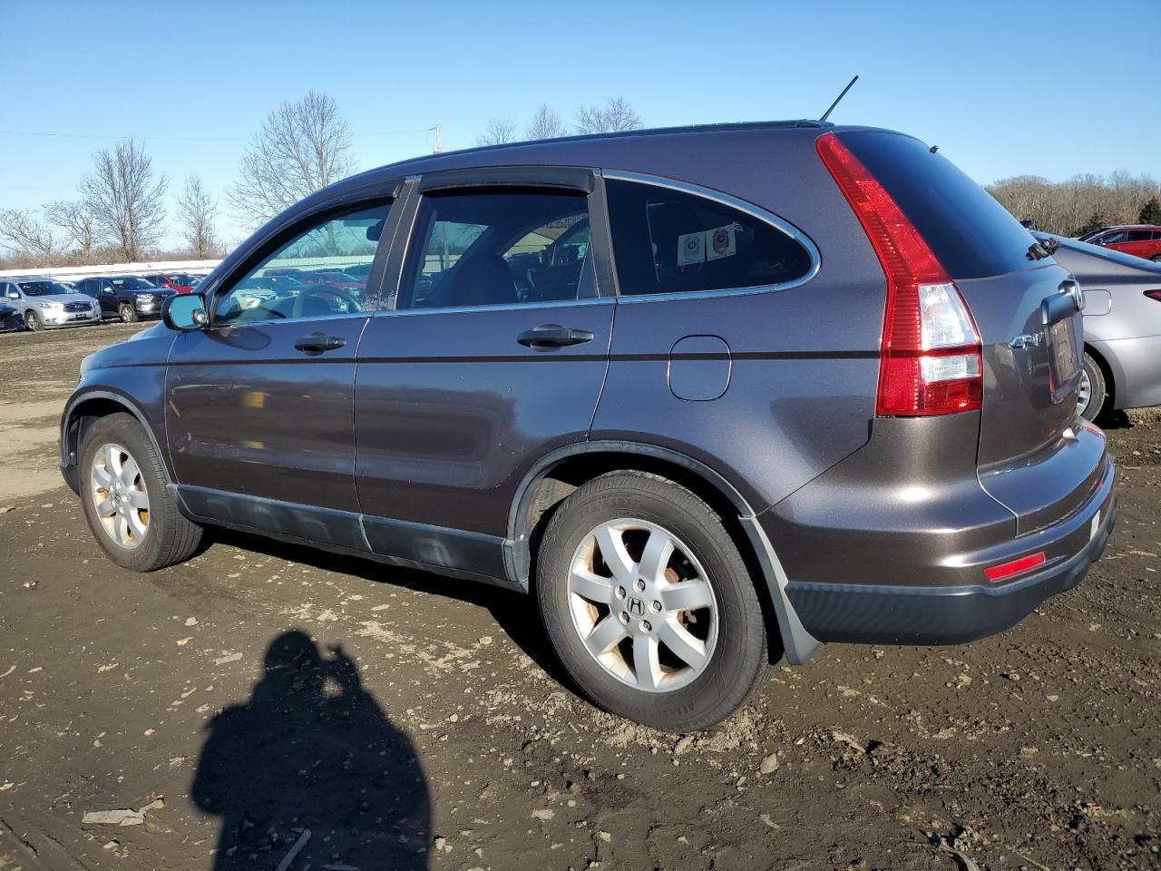 Image 2 of 2011 HONDA CR-V SE 2011 with VIN 5J6RE4H47BL057167
