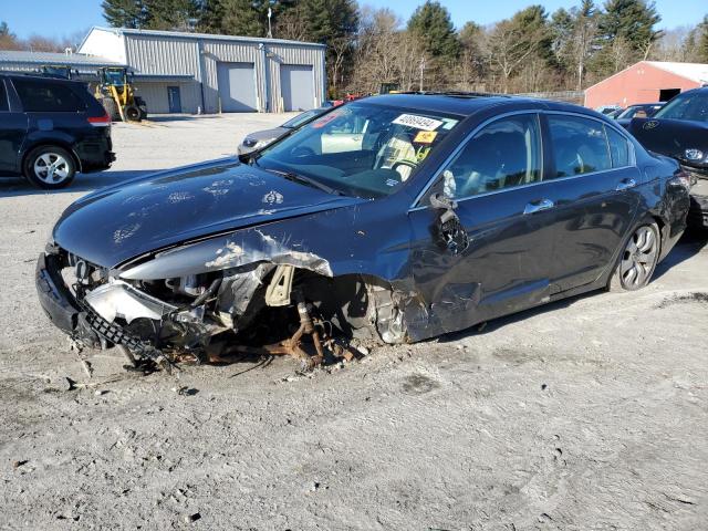 2008 HONDA ACCORD EXL 2008 image