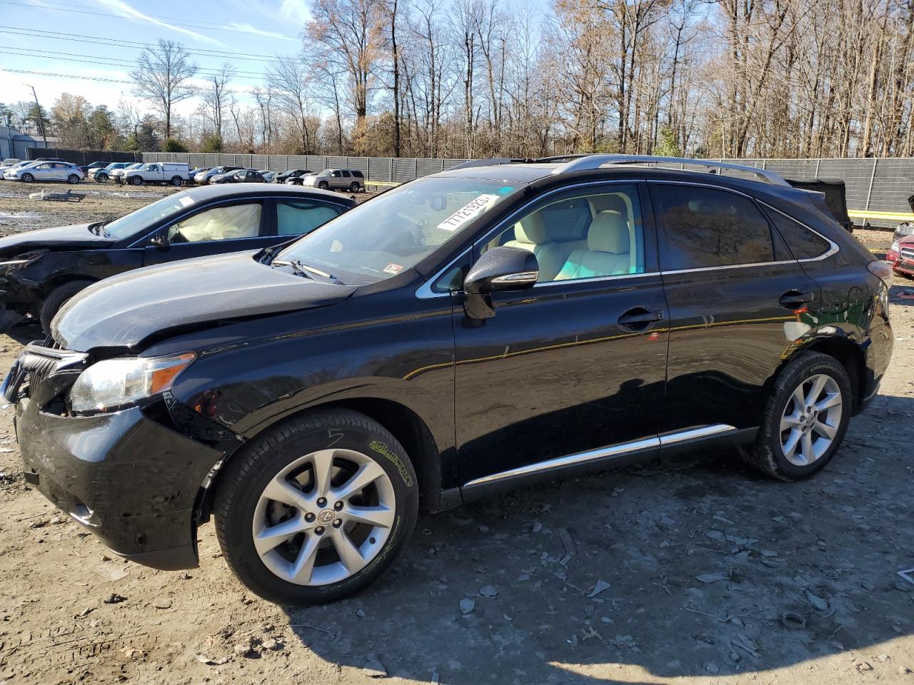 2010 LEXUS RX 350 2010 image
