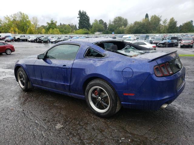 Image 2 of 2013 FORD MUSTANG  2013 with VIN 1ZVBP8AM5D5255530