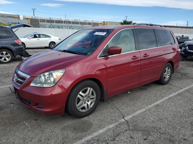 Изображение 1 2005 HONDA ODYSSEY EXL 2005 с VIN 5FNRL38725B133160