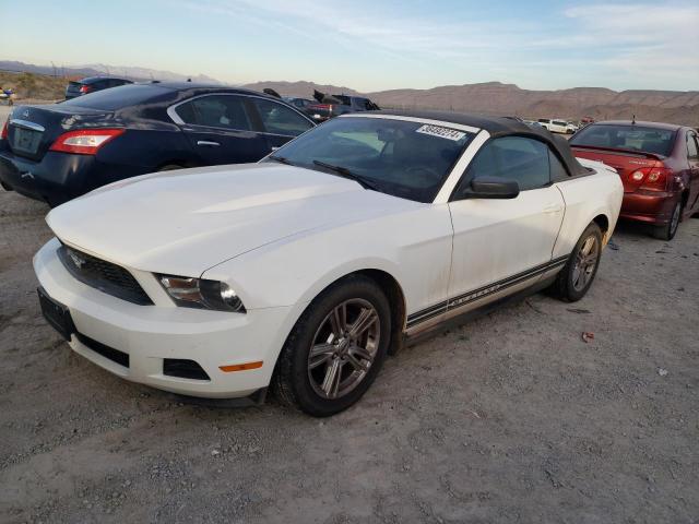 Obraz 2010 FORD MUSTANG  2010
