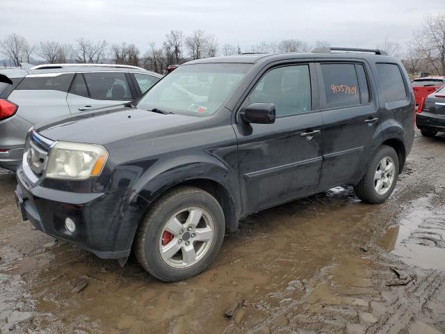 2010 HONDA PILOT EXL 2010 image