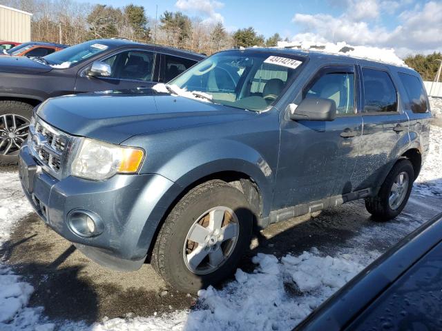 2011 FORD ESCAPE XLT 2011 image