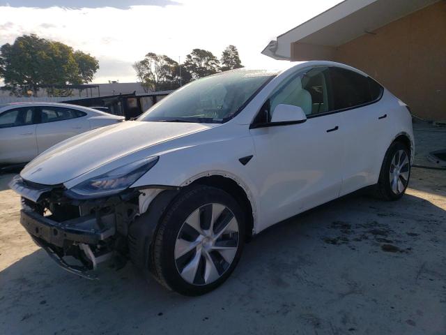 Obraz 2021 TESLA MODEL Y  2021