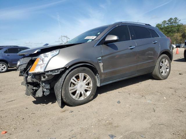 Obraz 2011 CADILLAC SRX LUXURY COLLECTION 2011