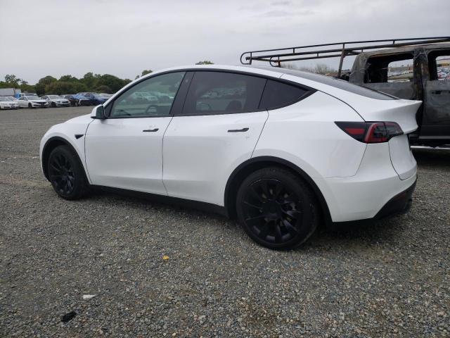 Image 2 of 2023 TESLA MODEL Y  2023 with VIN 7SAYGDEE4PF609570