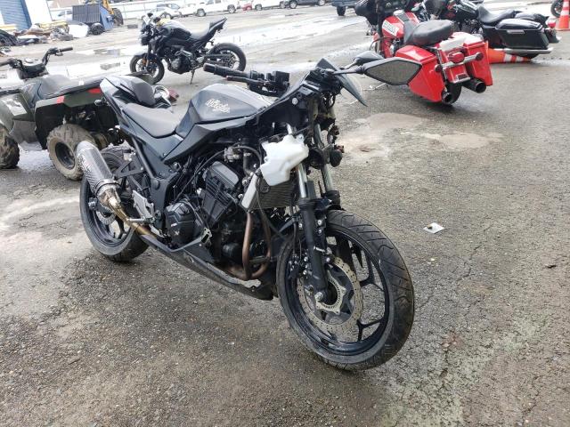 Obraz 2014 KAWASAKI EX300 B 2014