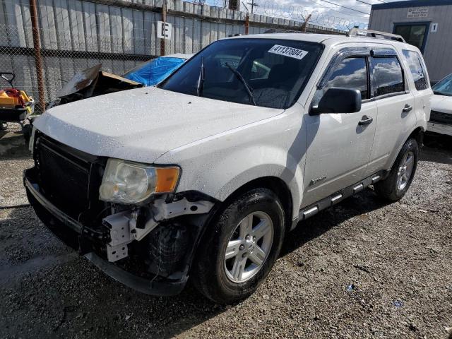 Obraz 2009 FORD ESCAPE HYBRID 2009