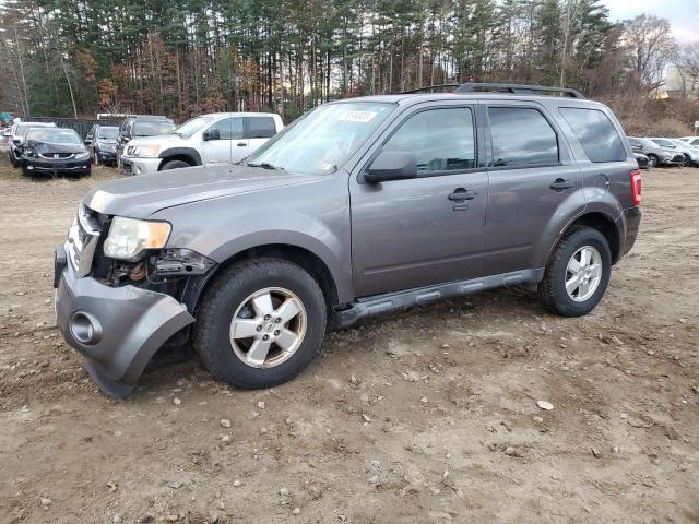 2010 FORD ESCAPE XLT 2010 image