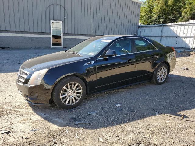 Obraz 2011 CADILLAC CTS  2011