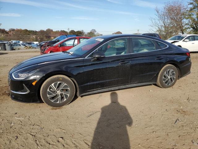 Изображение 2023 HYUNDAI SONATA HYBRID 2023
