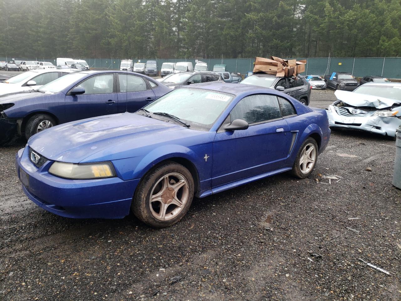 Изображение 2003 FORD MUSTANG  2003