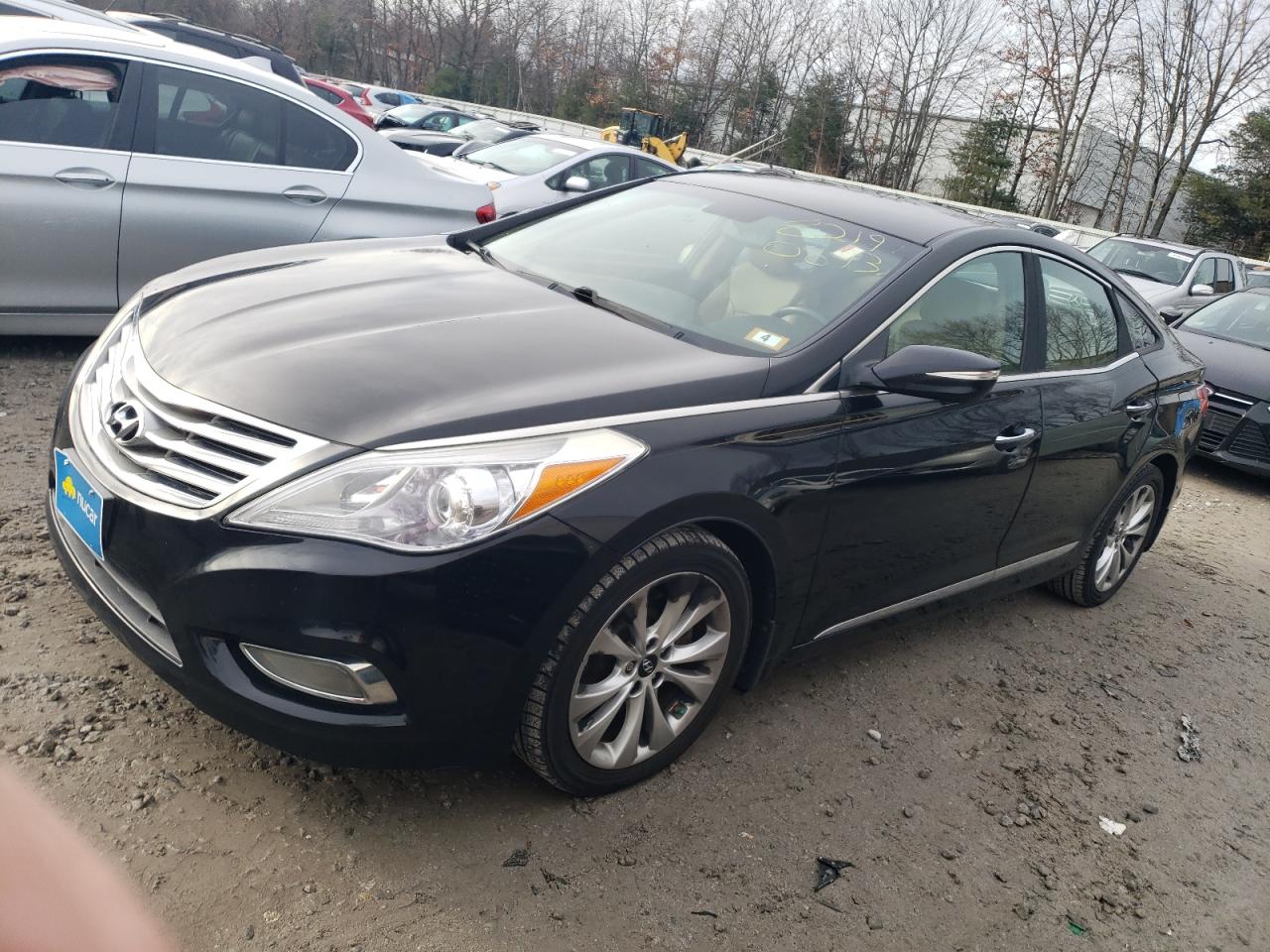 2013 HYUNDAI AZERA  2013 image