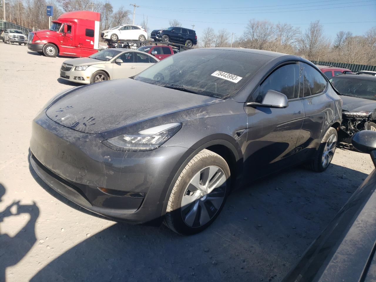 2023 TESLA MODEL Y  2023 image