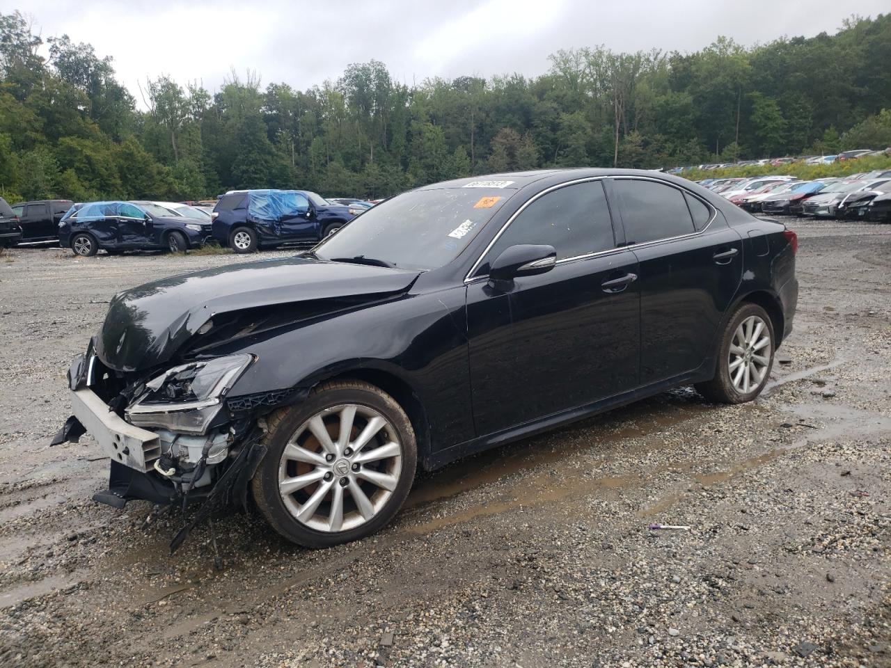 Изображение 2010 LEXUS IS 250 2010