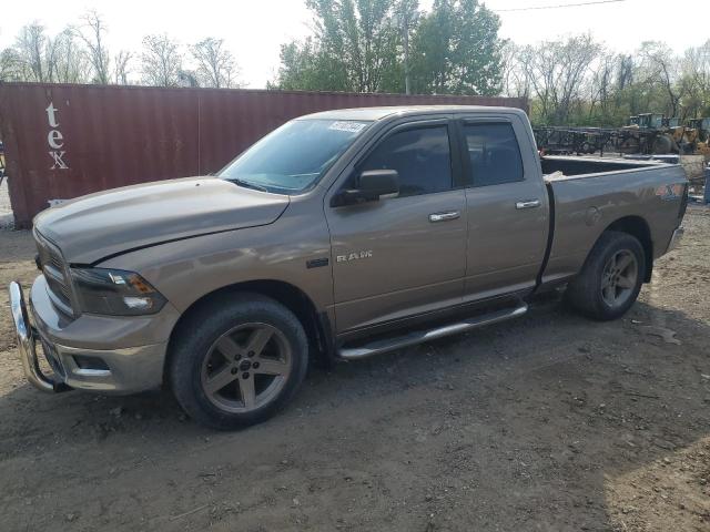 2010 DODGE RAM 1500  2010 image
