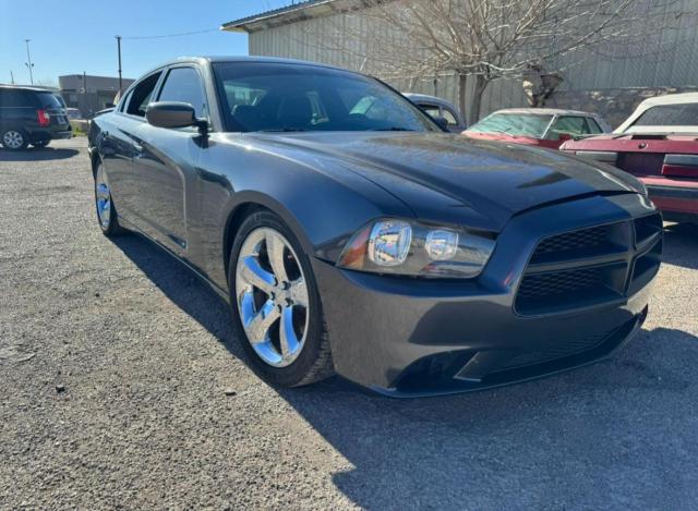 2013 DODGE CHARGER R/T 2013 image