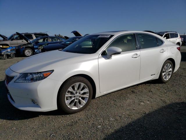 2013 LEXUS ES 300H 2013 image