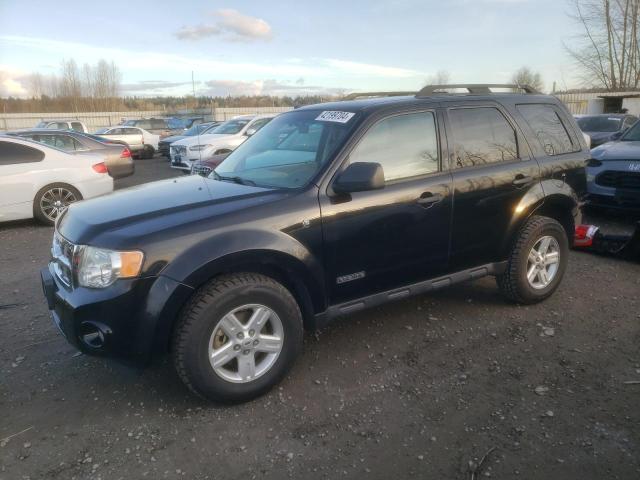 2008 FORD ESCAPE HEV 2008 image