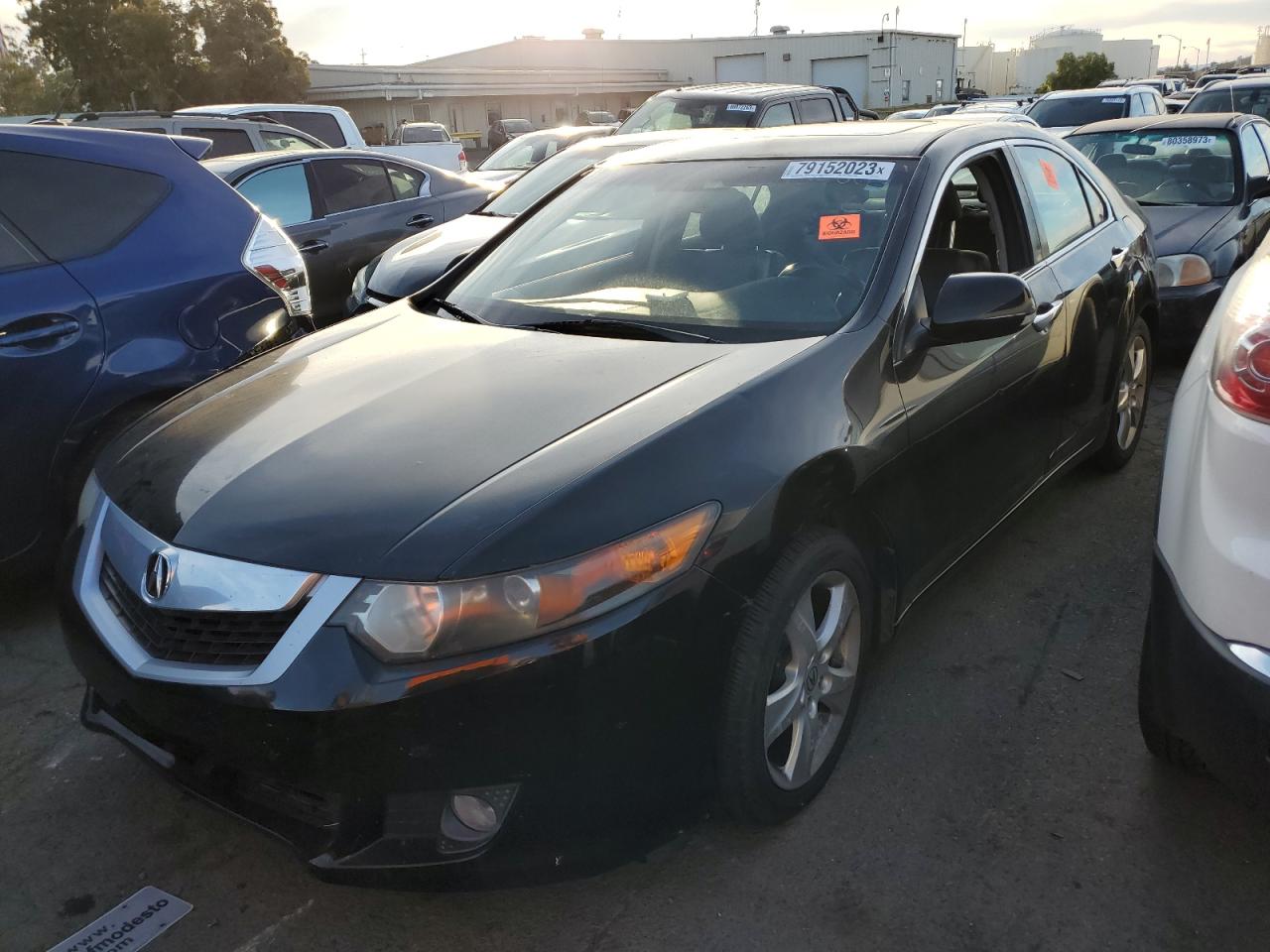 Image 1 of 2009 ACURA TSX  2009 with VIN JH4CU26609C032854