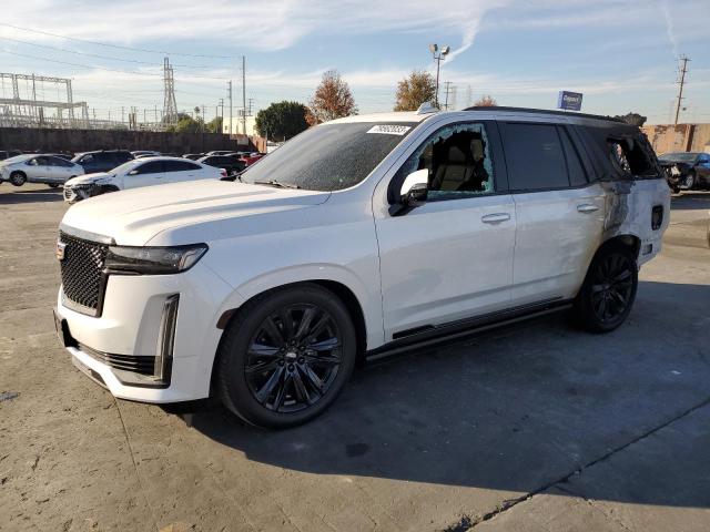 Obraz 2021 CADILLAC ESCALADE SPORT 2021