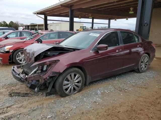 2011 HONDA ACCORD EXL 2011 image