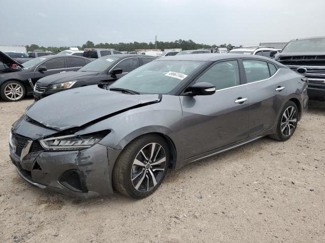 Obraz 2023 NISSAN MAXIMA SV 2023