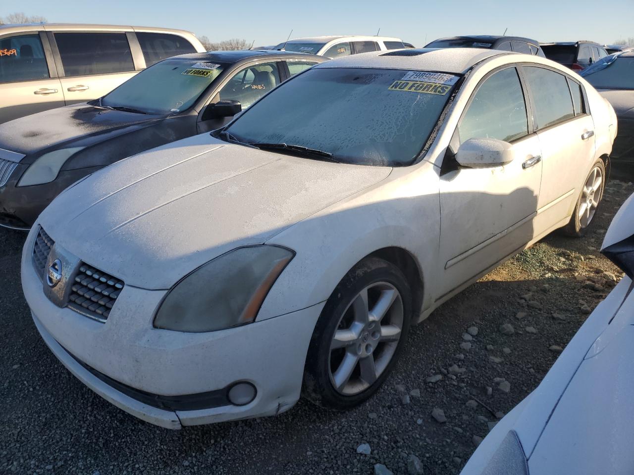 Изображение 1 2006 NISSAN MAXIMA SE 2006 с VIN 1N4BA41E16C804179