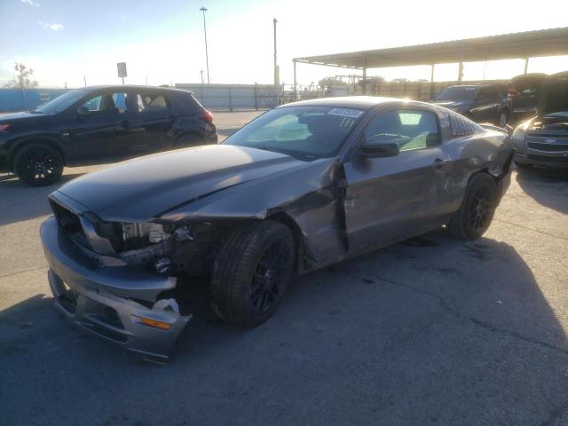 Image 1 of 2014 FORD MUSTANG  2014 with VIN 1ZVBP8AM5E5325593