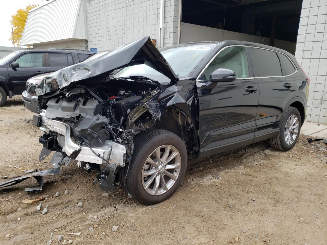 2023 HONDA CR-V EXL 2023 image
