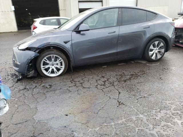 Obraz 2023 TESLA MODEL Y  2023