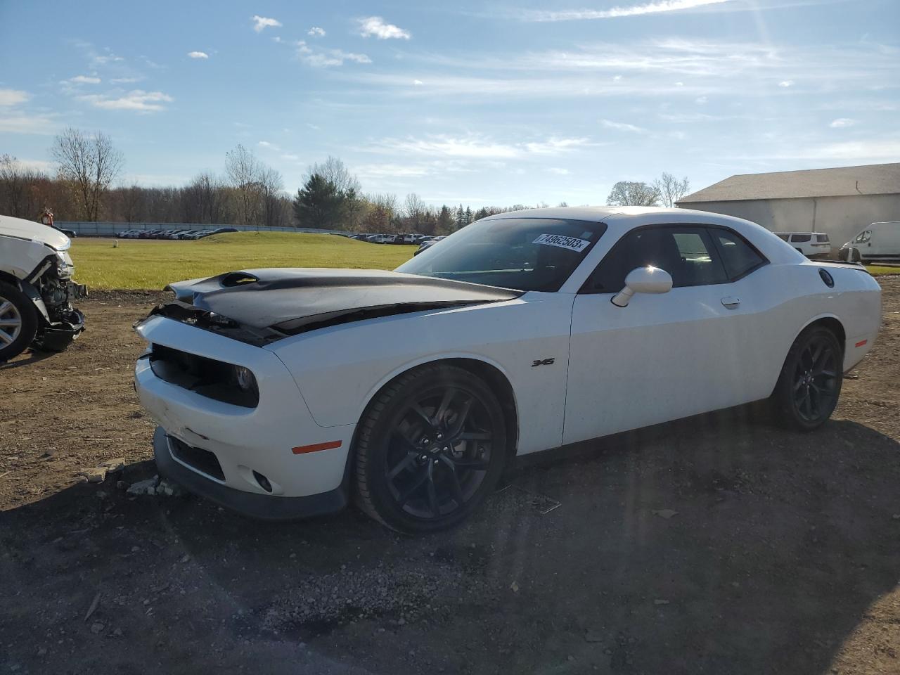 Obraz 2023 DODGE CHALLENGER R/T 2023