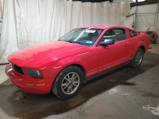 Obraz 2005 FORD MUSTANG  2005