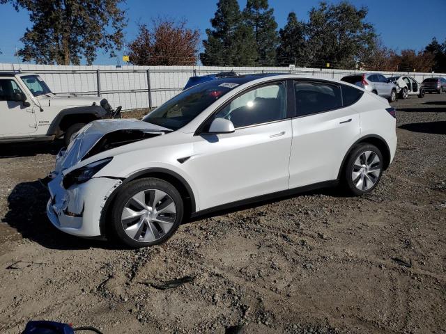Obraz 2023 TESLA MODEL Y  2023