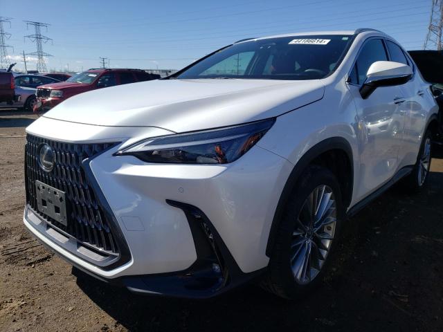Image 1 of 2022 LEXUS NX 350H 2022 with VIN 2T2GKCEZ3NC004991