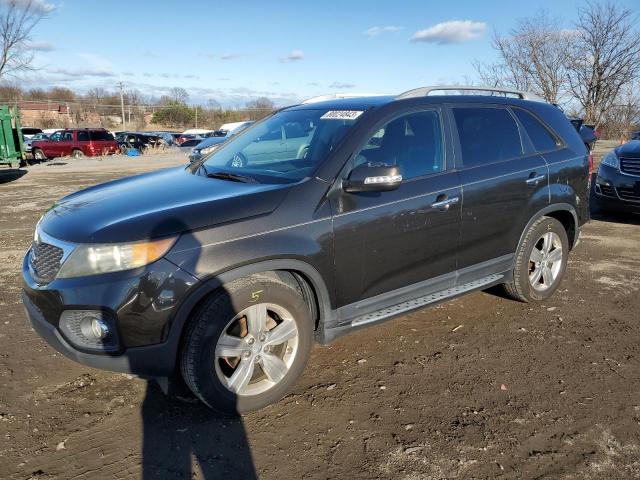 2012 KIA SORENTO EX 2012 image