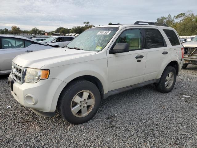 2012 FORD ESCAPE XLT 2012 image