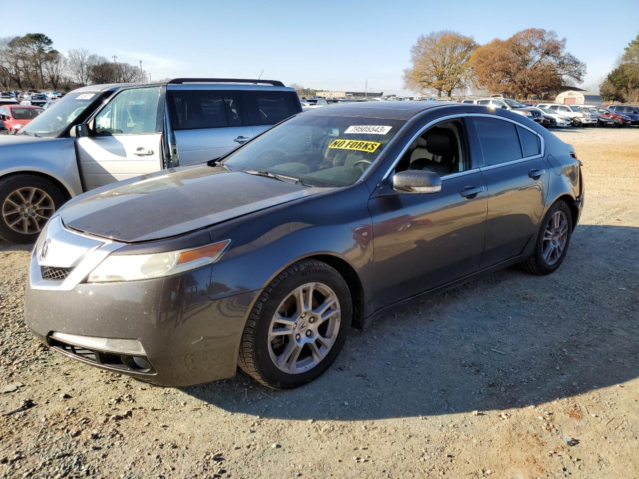 Изображение 2009 ACURA TL  2009